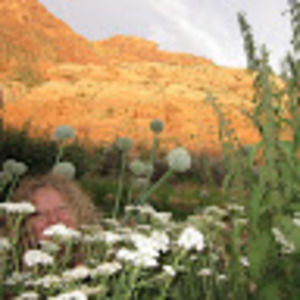 Meet your Posher, Ali